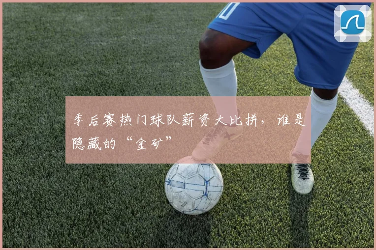 季后赛热门球队薪资大比拼,谁是隐藏的“金矿”